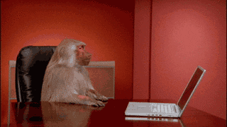 Dancing monkey